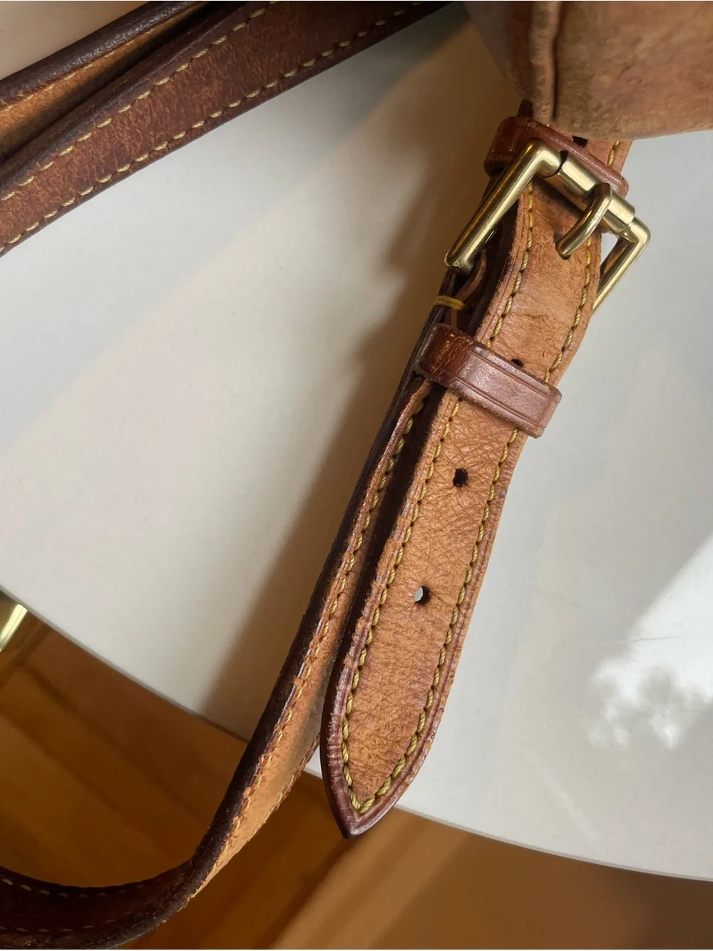 Louis Vuitton iconic lv